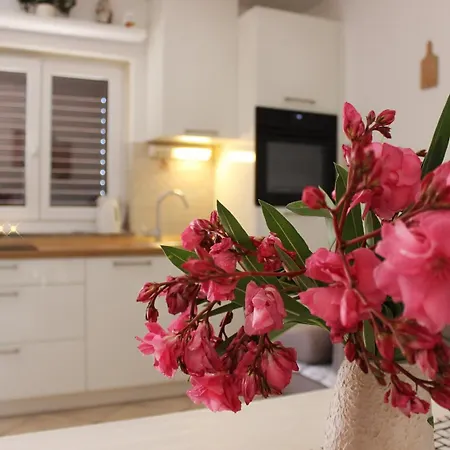 Lanterna Puntamika Apt. Near アパート *